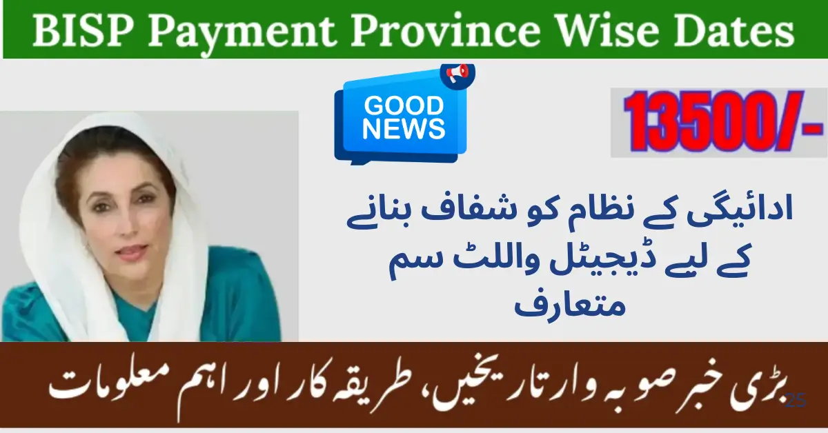 BISP 8171 Payment Schedule