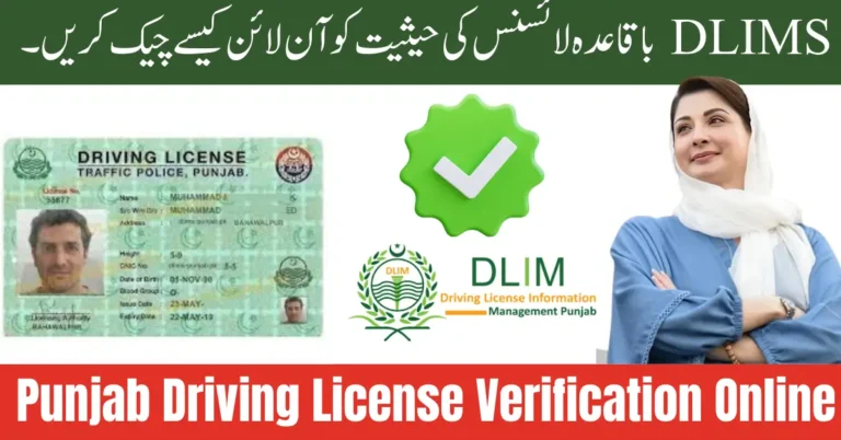 Punjab Driving License Verification 2026 – How to Check DLIMS Regular License Status Online