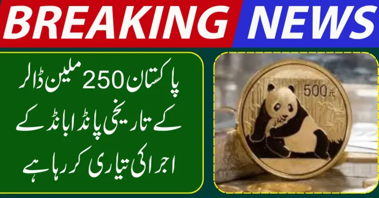 Pakistan Prepares to Issue Historic $250 Million Panda Bond