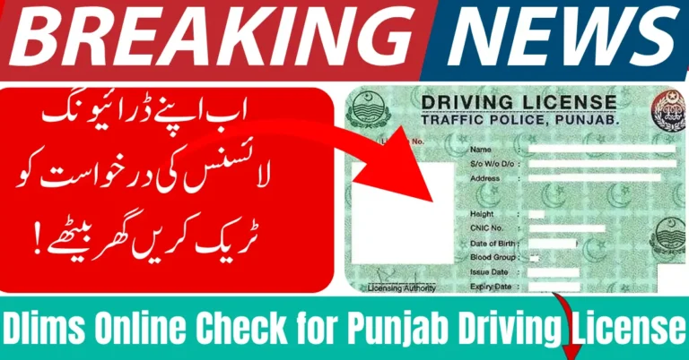 Punjab Driving License Tracking Online – Check Status Instantly from Home