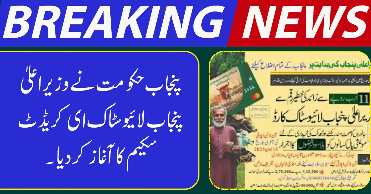 CM Punjab Livestock E-Credit Scheme