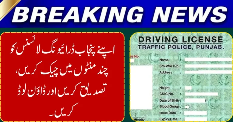 Check, Verify, and Download Your Punjab Driving License Online in Minutes