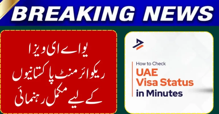 Check Your UAE Visa Status in Minutes Using Official Online Portals