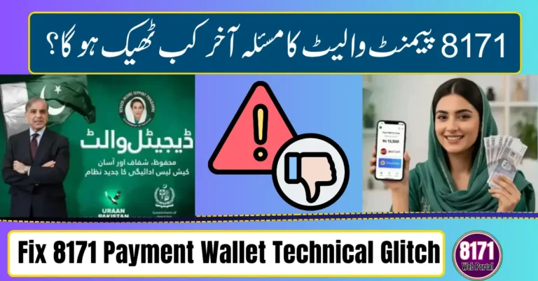 Fix 8171 Payment Wallet Technical Glitch