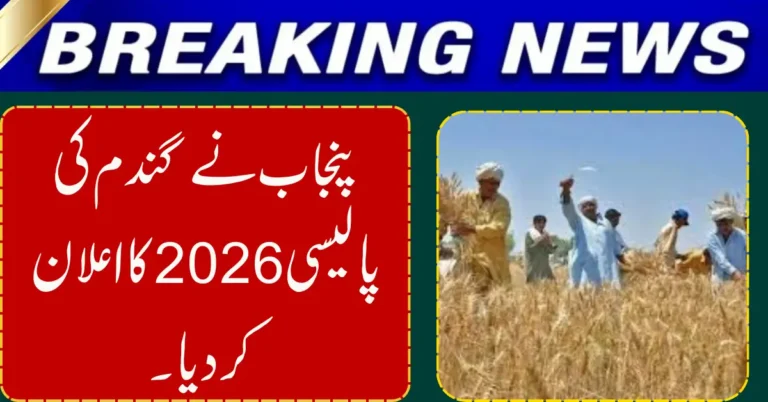 Punjab Unveils Wheat Policy 2026, Ends Government Procurement to Protect Farmers and Prices