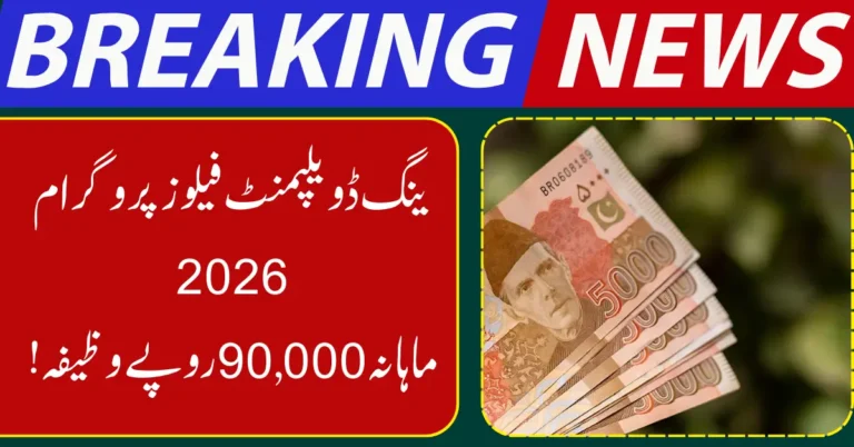 Young Development Fellows Program Offers Rs90,000 Monthly Opportunity for Youth